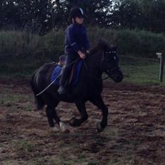 Anden særlig race Tarzan