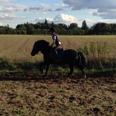 Anden særlig race Tarzan