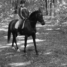 Anden særlig race Diablo