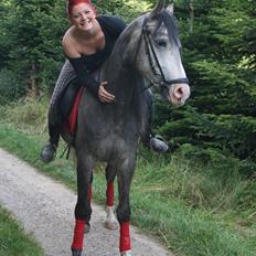 Anden særlig race Rolighedens Caruzo