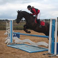 Oldenborg Noir  |Sorte|