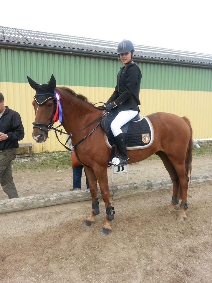 Anden særlig race Ricardo billede 12