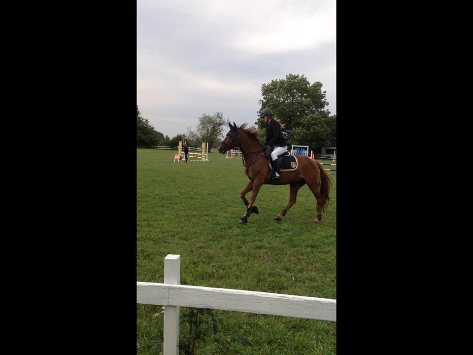 Anden særlig race Ricardo billede 16