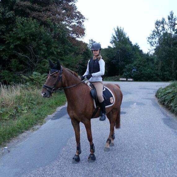 Anden særlig race Ricardo billede 18