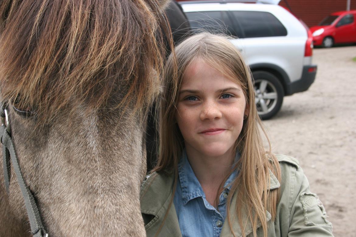 Islænder Blettur fra Tjenergården - Til stævne billede 13