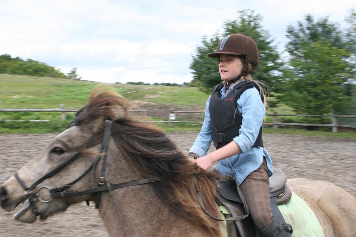 Islænder Blettur fra Tjenergården - Vi tölter!!! 8D
Holder ham ret stramt i tøjlerne fordi han meget gerne vil ud af banen XD billede 15