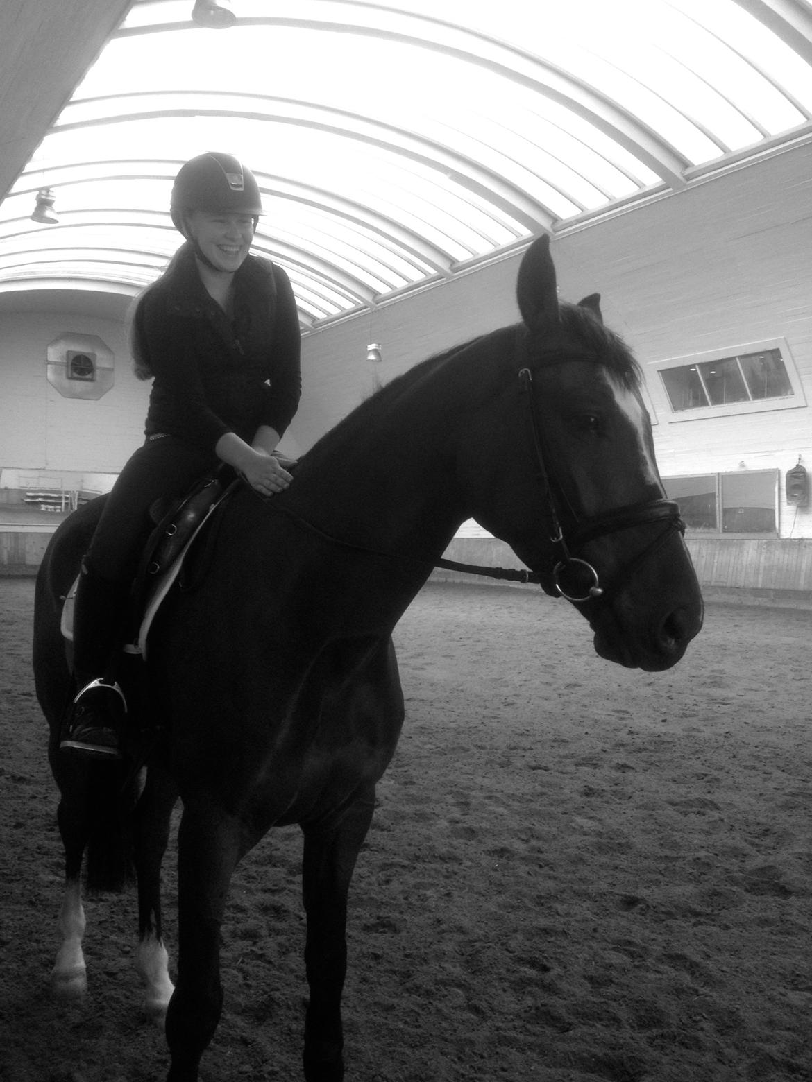 Trakehner Lasse e. Buddenbrock - Den bedste <3 billede 2