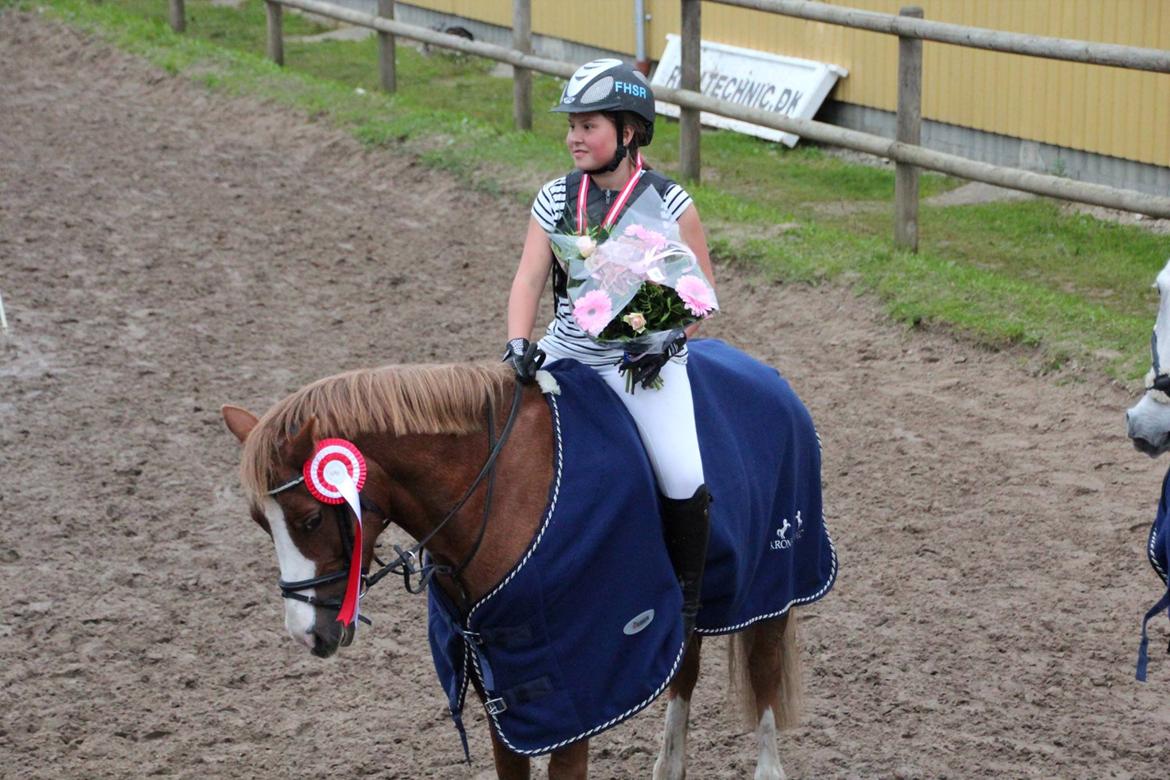 Tysk Sportspony Sultan(Sulle) <3 - Velkommen til Sultans profil.  KLUBMESTER I SPRING 2013. Savner dig hver dag skat.. billede 1