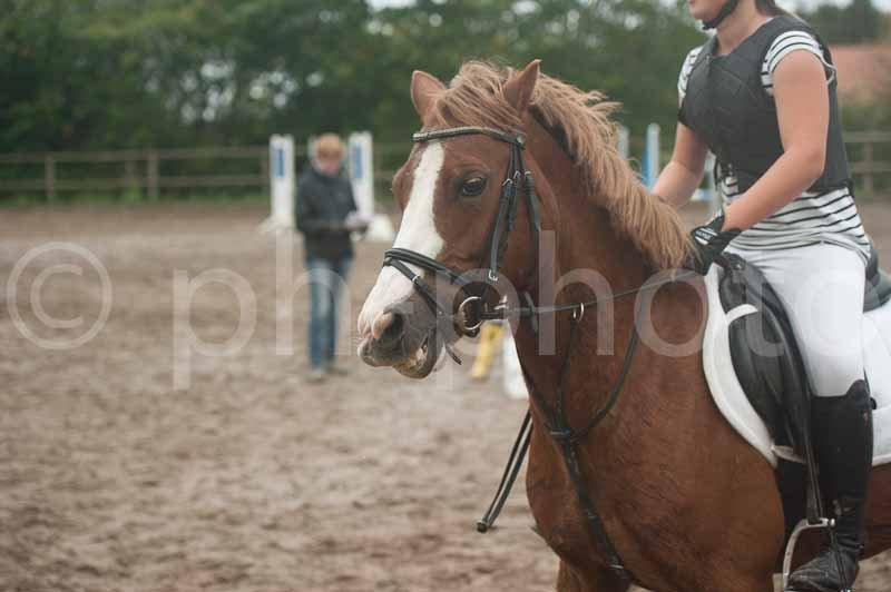 Tysk Sportspony Sultan(Sulle) <3 - Smiler til fotografen! :D billede 20