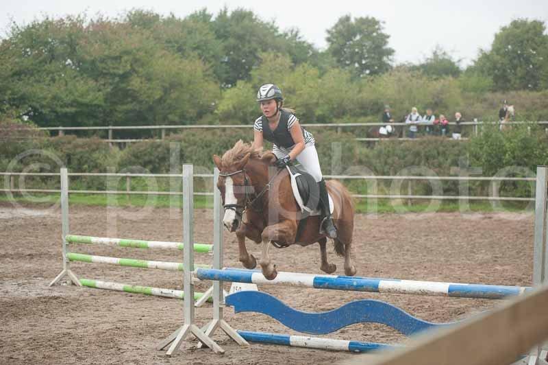 Tysk Sportspony Sultan(Sulle) <3 - Mums hva? Min bedste pony ever!
klub.. <3 billede 22