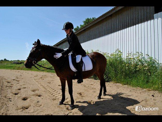 Anden særlig race Isabell  RIP  - første dressur stævne - 64% og 3 plads!:-) Hvis der nogensinde kommer en dag, hvor vi ikke længere er sammen, så gem mig i dit hjerte. Jeg bliver der for evigt billede 7