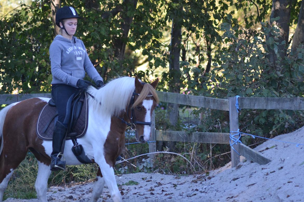 Pinto Blade - Verdens bedste <3 billede 38