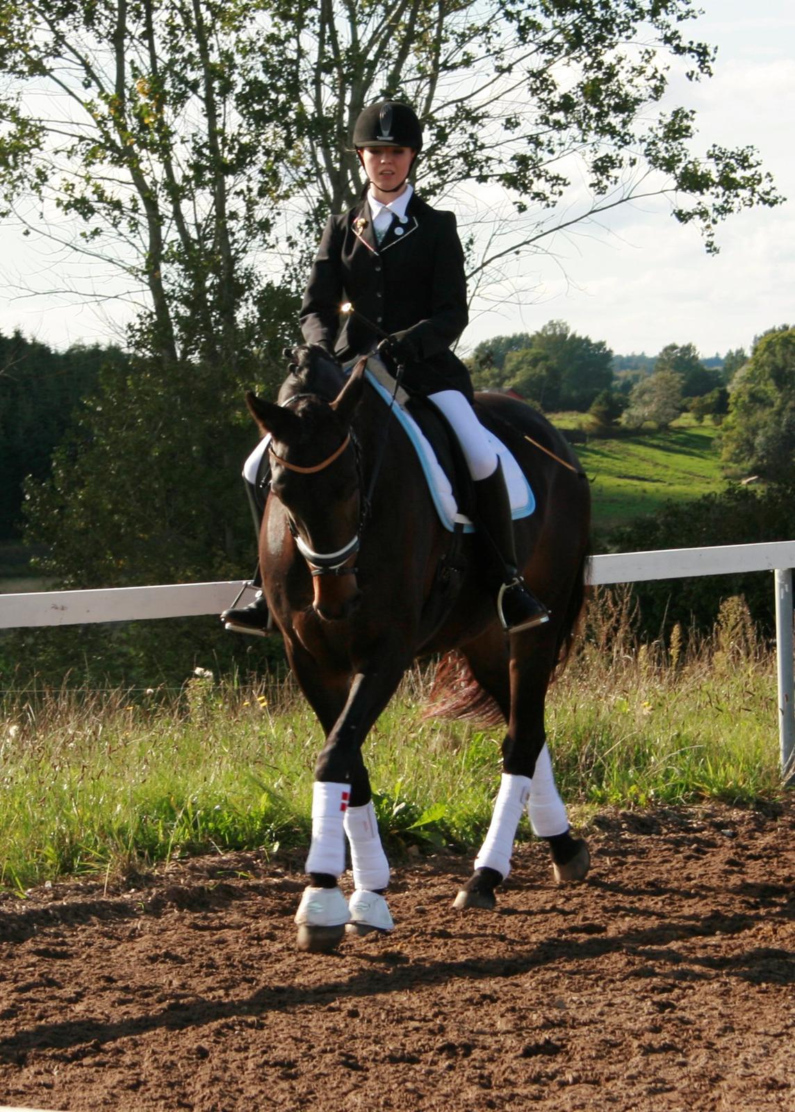 Anden særlig race Casino Royale(Black Star) - Debut i LA1 til 64,23% billede 18