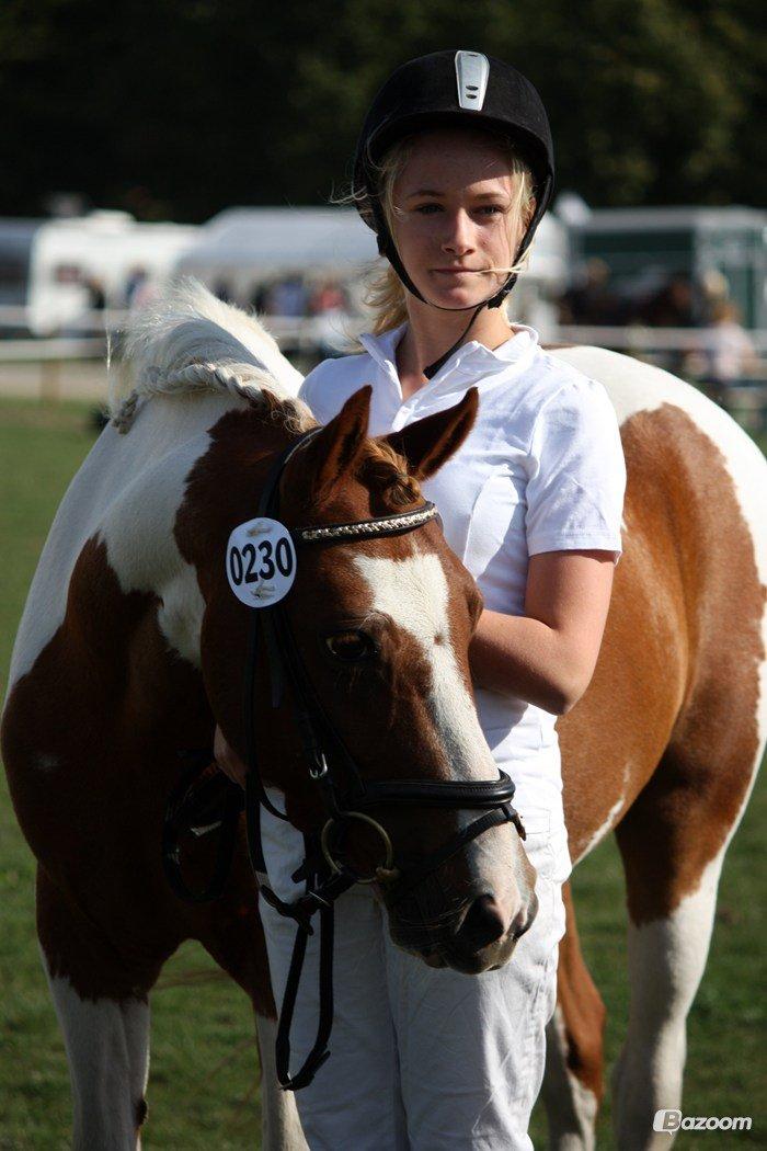 Pinto Blade - Store Hestedag 2013 <3  billede 35