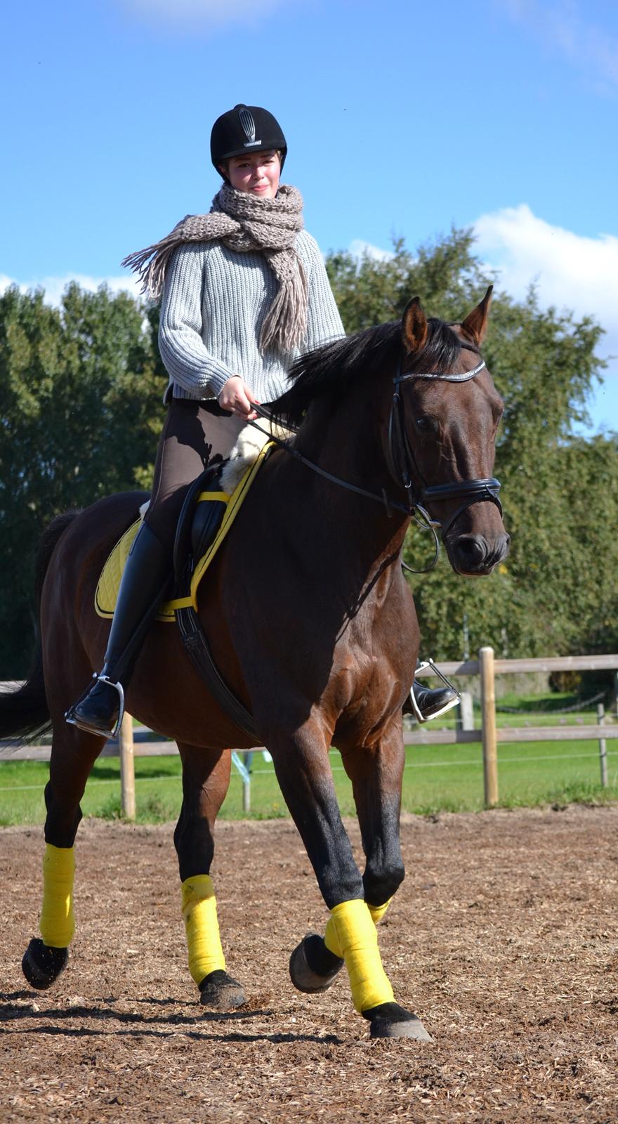 Hannoveraner Lille Per - 18. Glad musling - efterår 2013 foto Nanna billede 18