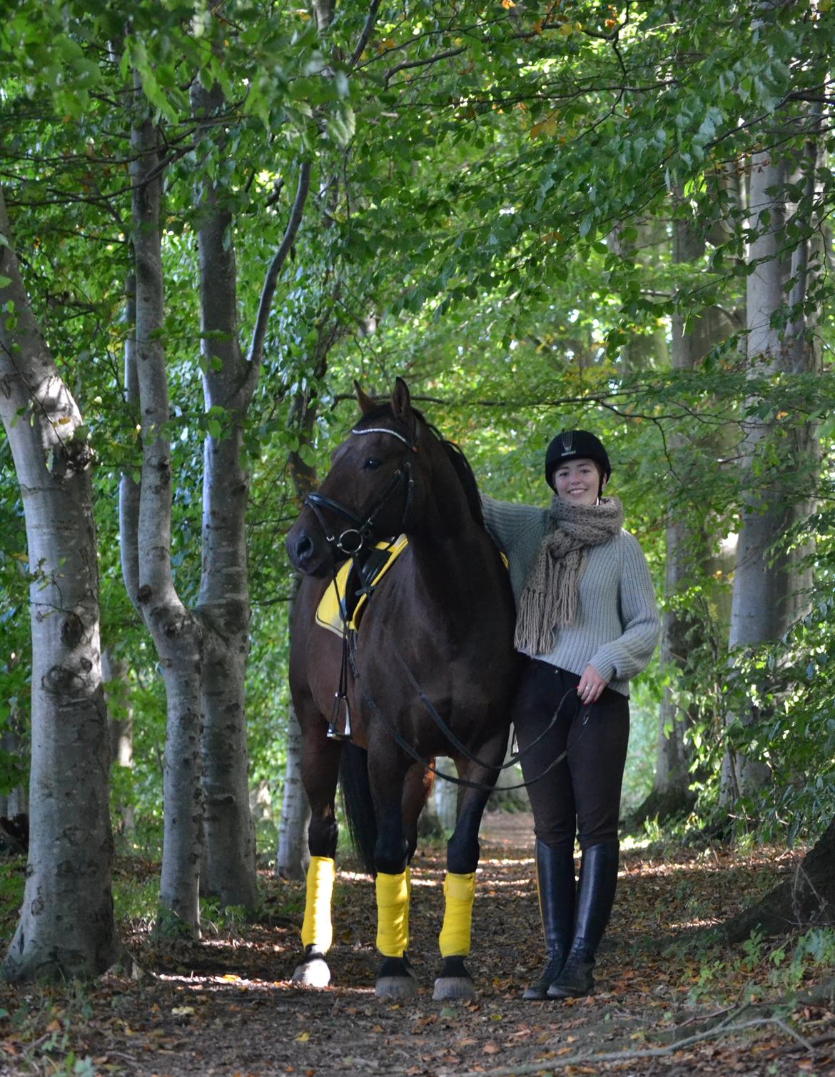 Hannoveraner Lille Per - 19. Min fine mus - efterår 2013 foto Nanna  billede 19