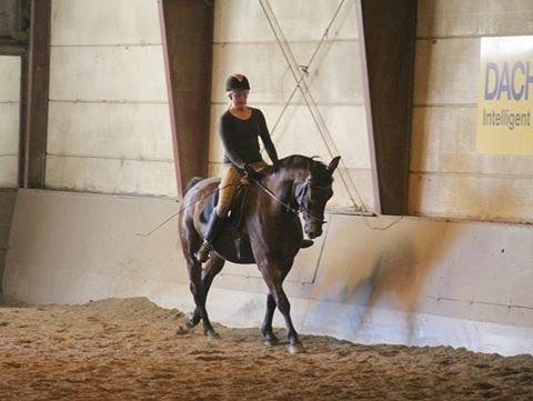 Anden særlig race Guido - :)) billede 6