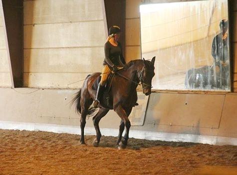 Anden særlig race Guido billede 4