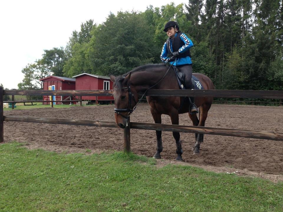 Anden særlig race Flaoura (Flaffe) (Sendt tilbage) - Min søster og Flaffe c:
- Hun er i gang med indspringning. billede 4