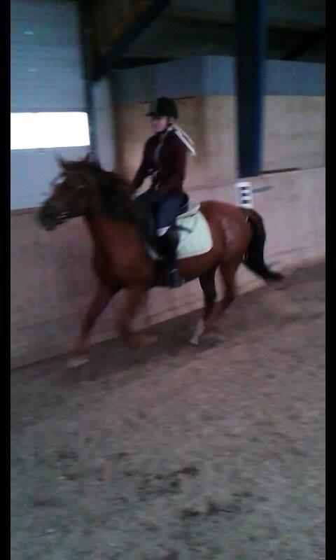 DSP Prima Donna <3 billede 12