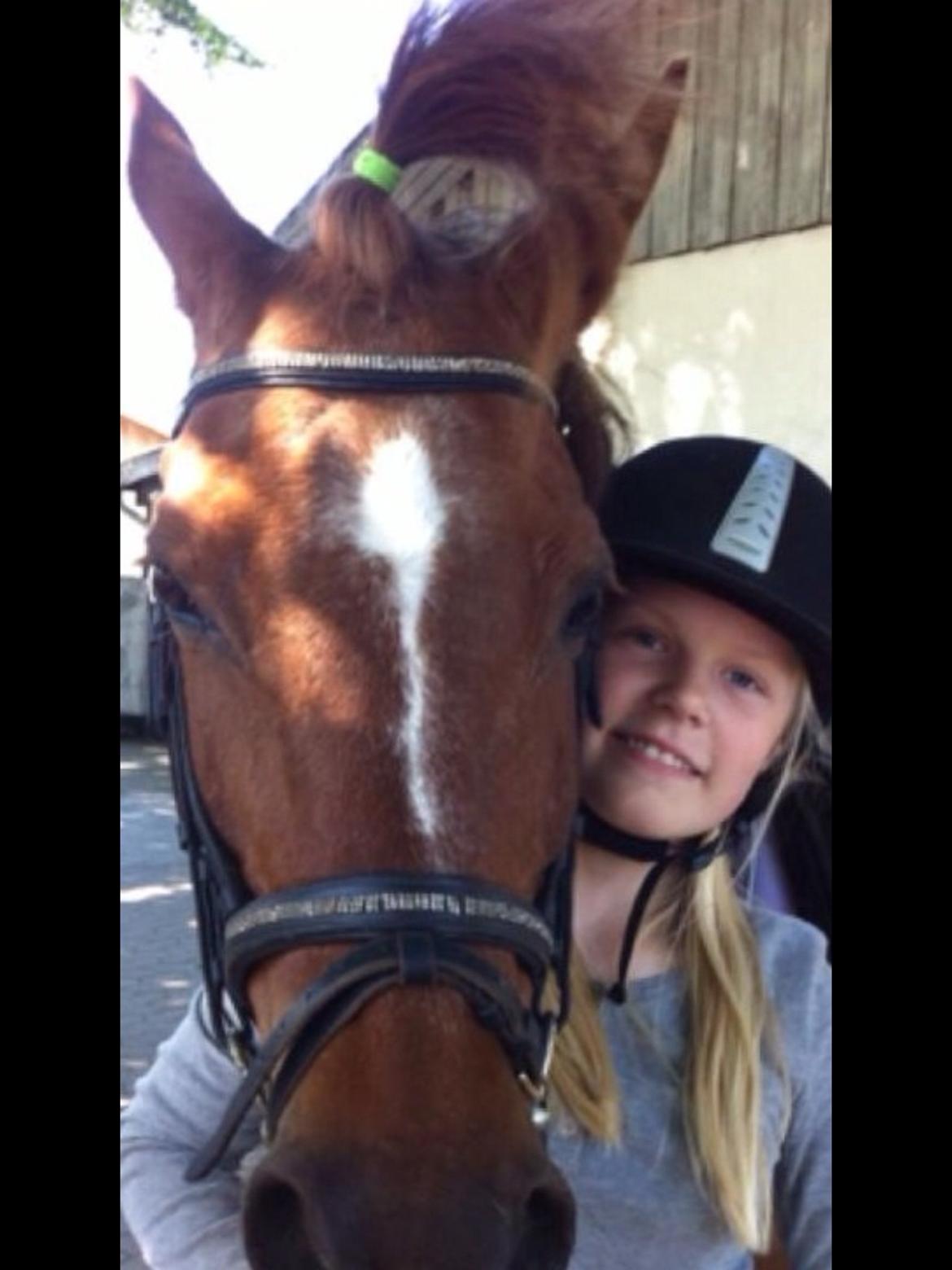 DSP Prima Donna <3 billede 16