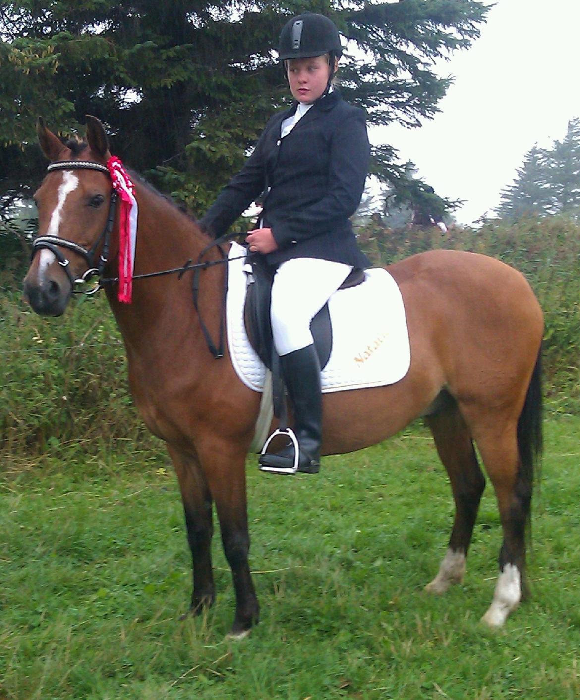 DSP Lynghøjen's Freeway - Freeway og mig til stævne i han herde billede 1