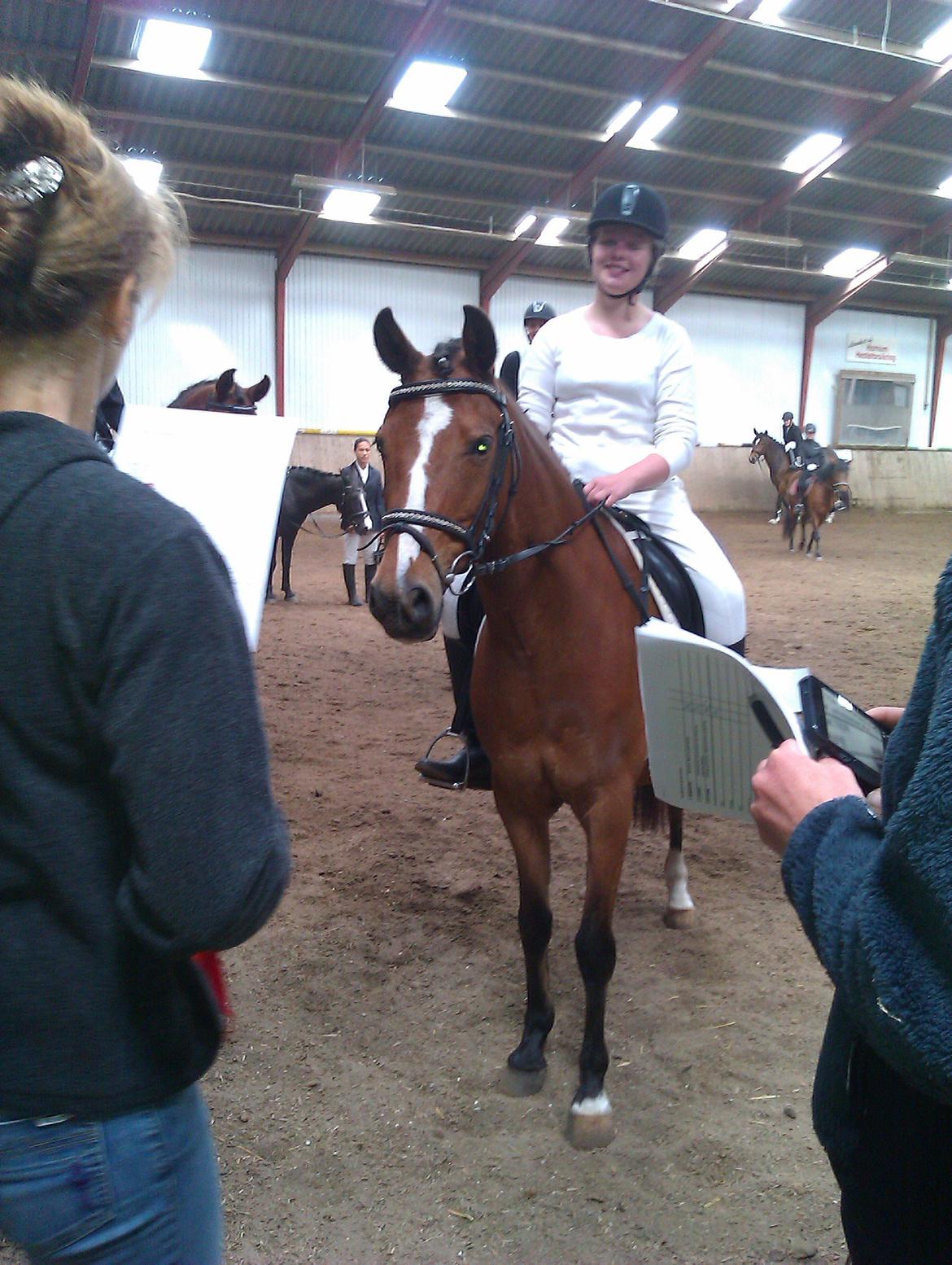 DSP Lynghøjen's Freeway - mit første stævne på ham vi vandt en LD 1 med 100 point og 1 point far 2 pladsen :) billede 4