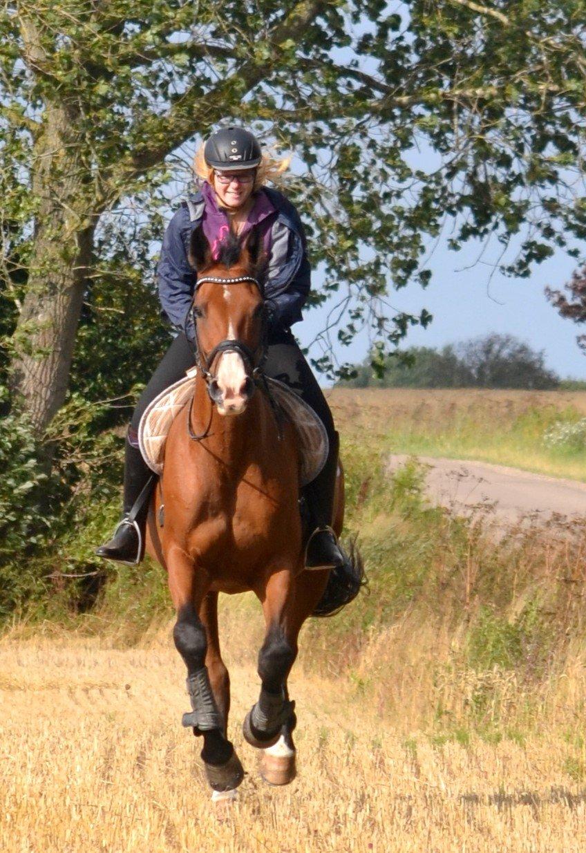 Holstener Costa Rica 32 billede 13