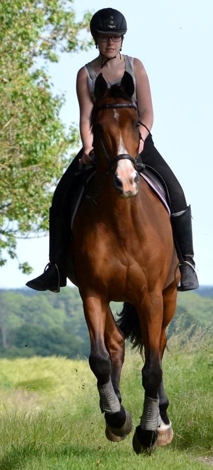 Holstener Costa Rica 32 billede 11