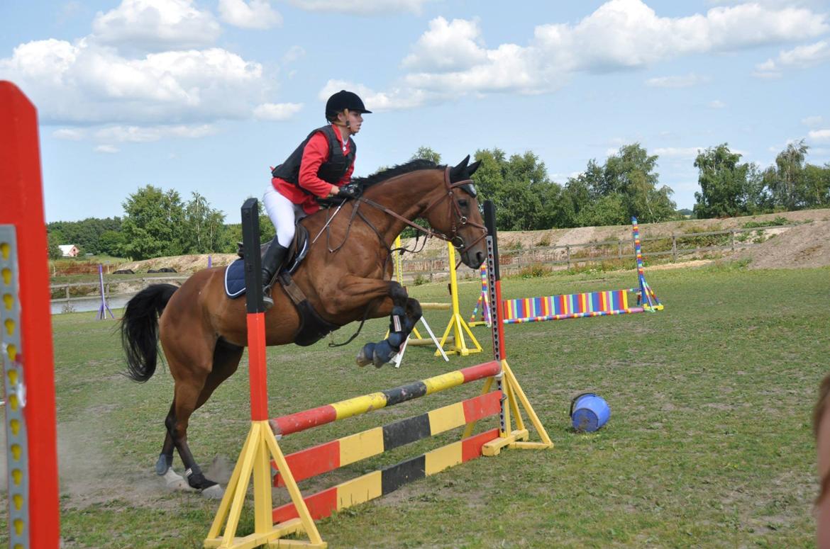 Fuldblod (XX) R.I.P SOLGT Bauffant<33 XX billede 18