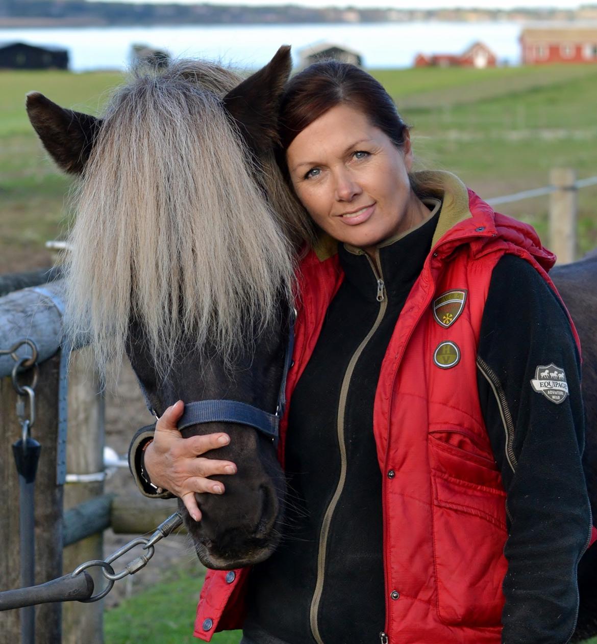 Islænder Fengur frá Alfholum billede 2