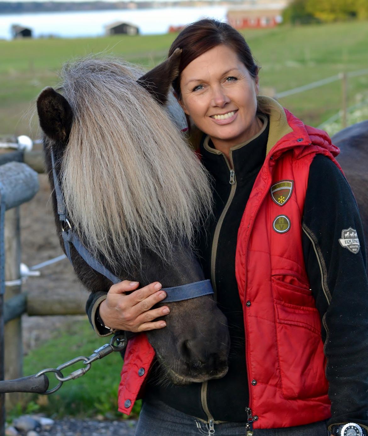 Islænder Fengur frá Alfholum billede 28