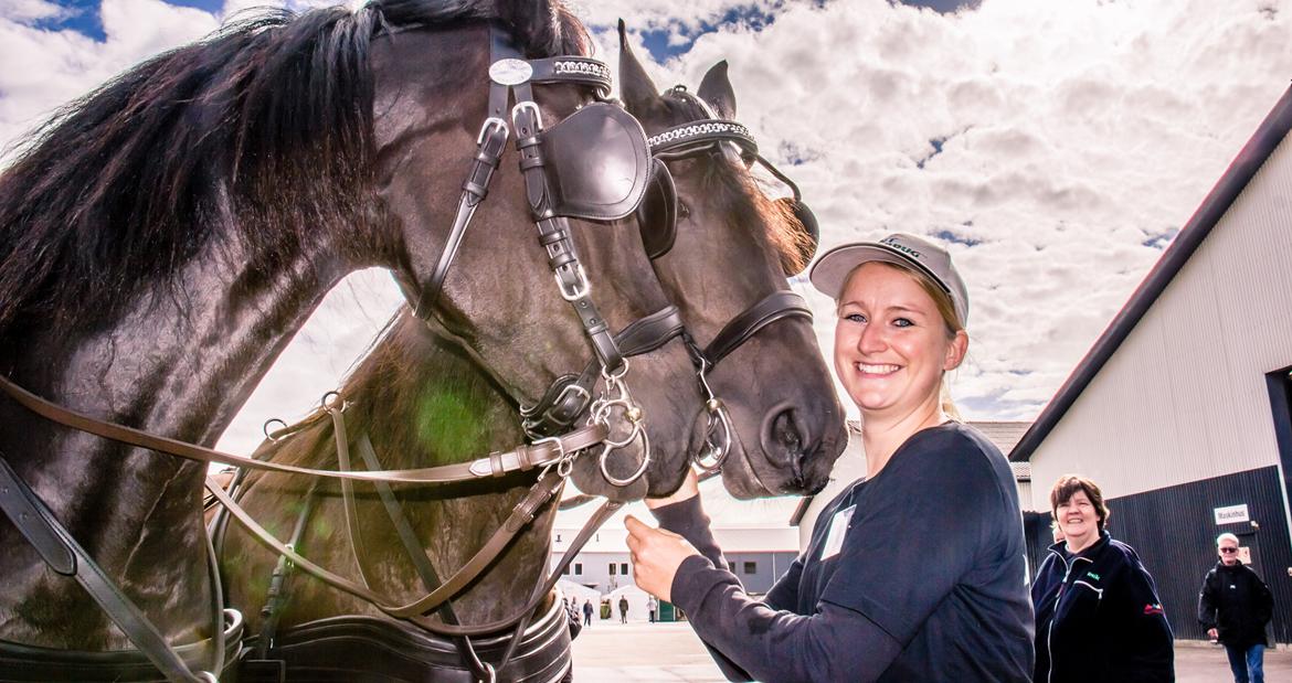 Frieser Mazandra von Inger-Marienlund, stb. STER - Paula og Mazandra til Åbent Landbrug d. 15/9-2013.. og mig... billede 17