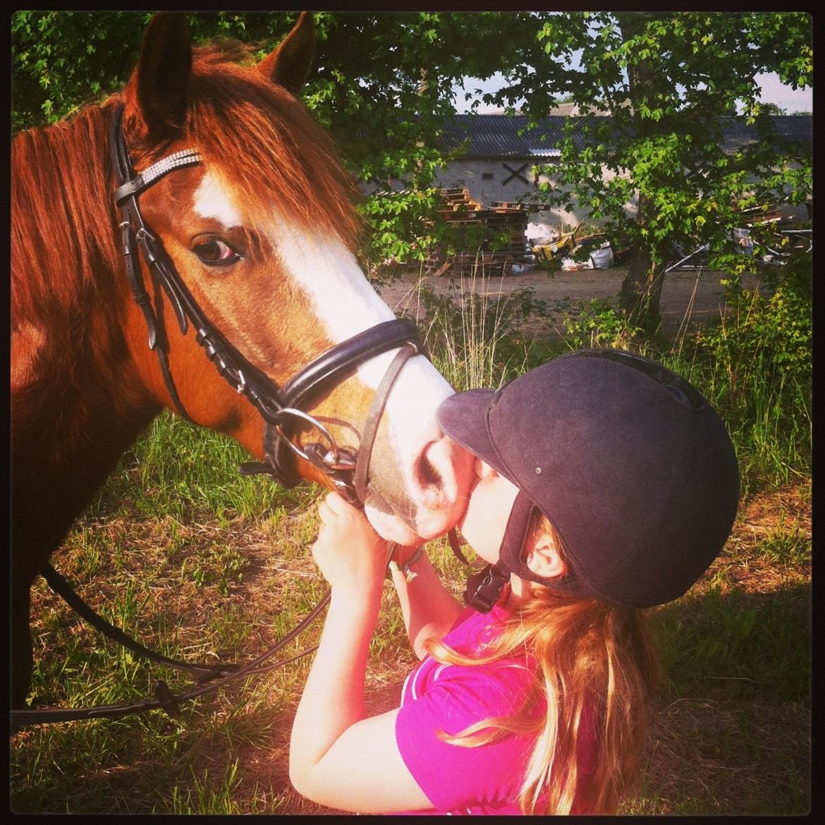 Anden særlig race Skikkilds Felis - I love you  billede 3