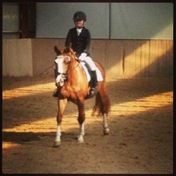 Anden særlig race Skikkilds Felis - 2.plads i Åstrup 68,5% billede 6