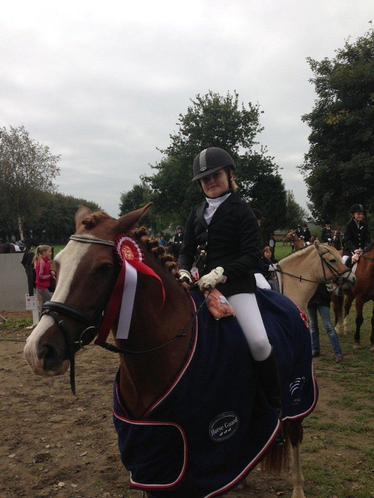 Anden særlig race Skikkilds Felis - 1.plads i sabro 69% billede 9