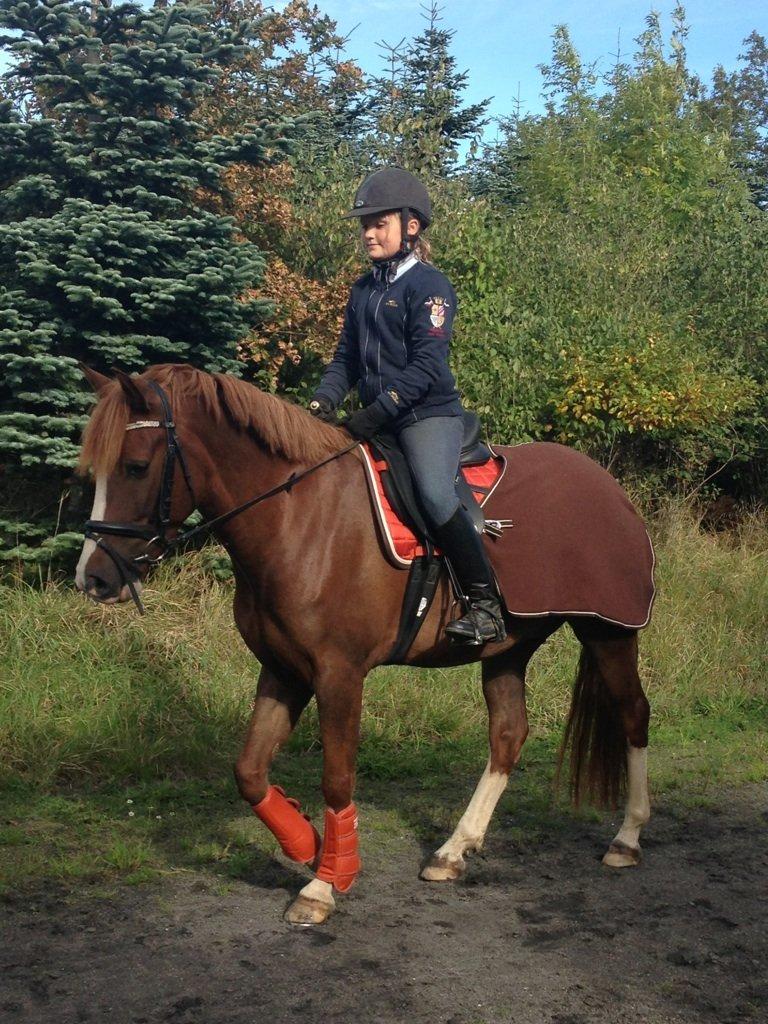 Anden særlig race Skikkilds Felis - Ude i det dejlige vejr billede 11