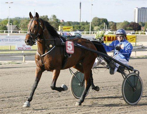 Traver Ofero Langdel *Øffe* - Ofero første sejr på han 4 års fødselsdag billede 8