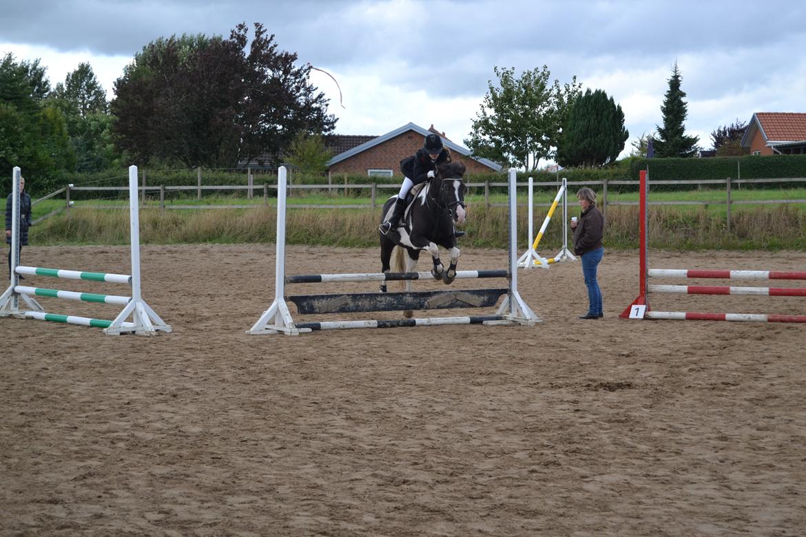 Anden særlig race Haffe Laffe - 2. stævne lc, jeg vandt klassen! :-D billede 7