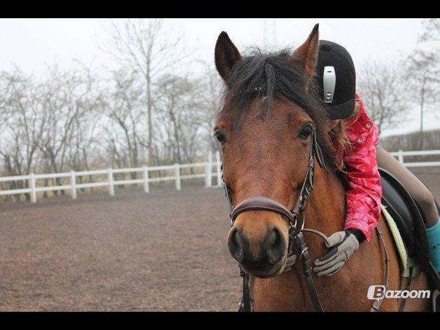 Anden særlig race Mystery - Elsker dig forevigt vil aldrig viske dig ud af mit hjerte<3 billede 4