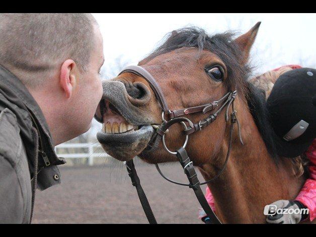 Anden særlig race Mystery - Og jaa min far og Mystery har et tæt bånd:) Og det er da slet ikke gulerøddernes skyld:)! billede 5