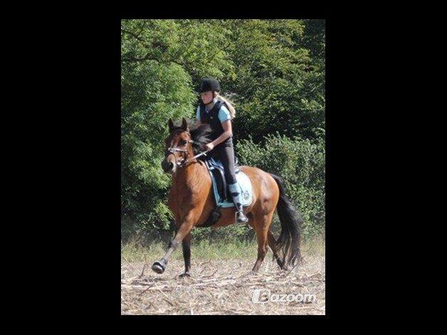 Anden særlig race Mystery - Så er der fart over feltet hurtigere Julie:)  billede 7