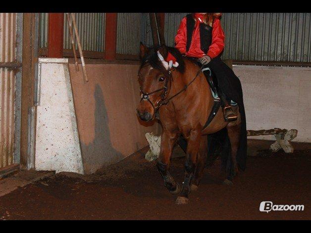Anden særlig race Mystery - Så skal der snart springes;) billede 9