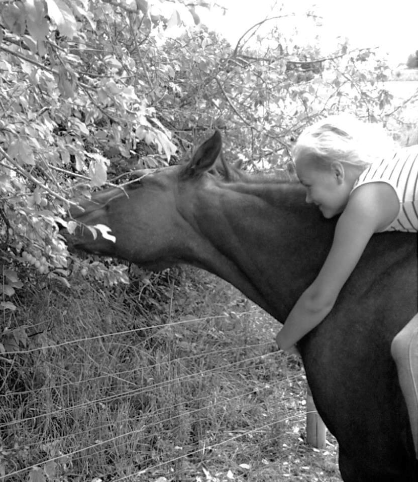 Anden særlig race Diango (miss) billede 12