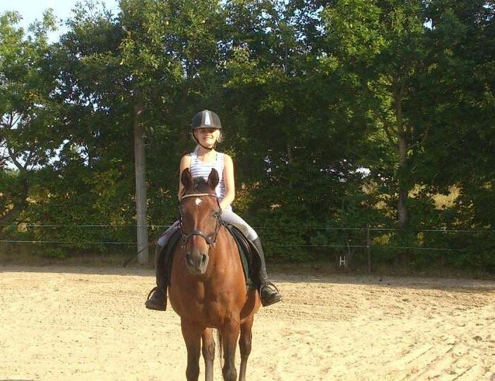 Anden særlig race Diango (miss) billede 17