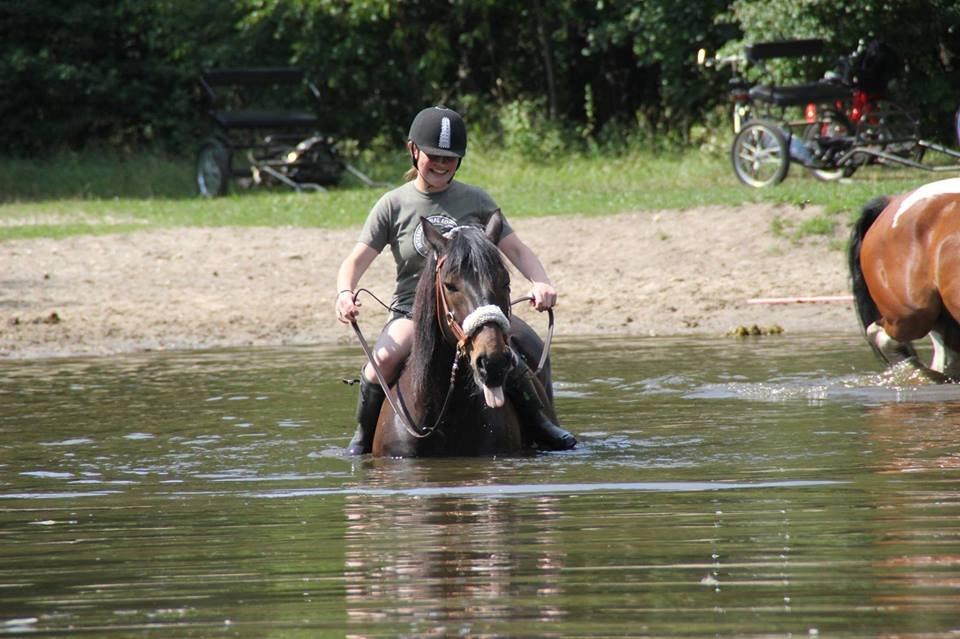 Anden særlig race Krumme *part* billede 11