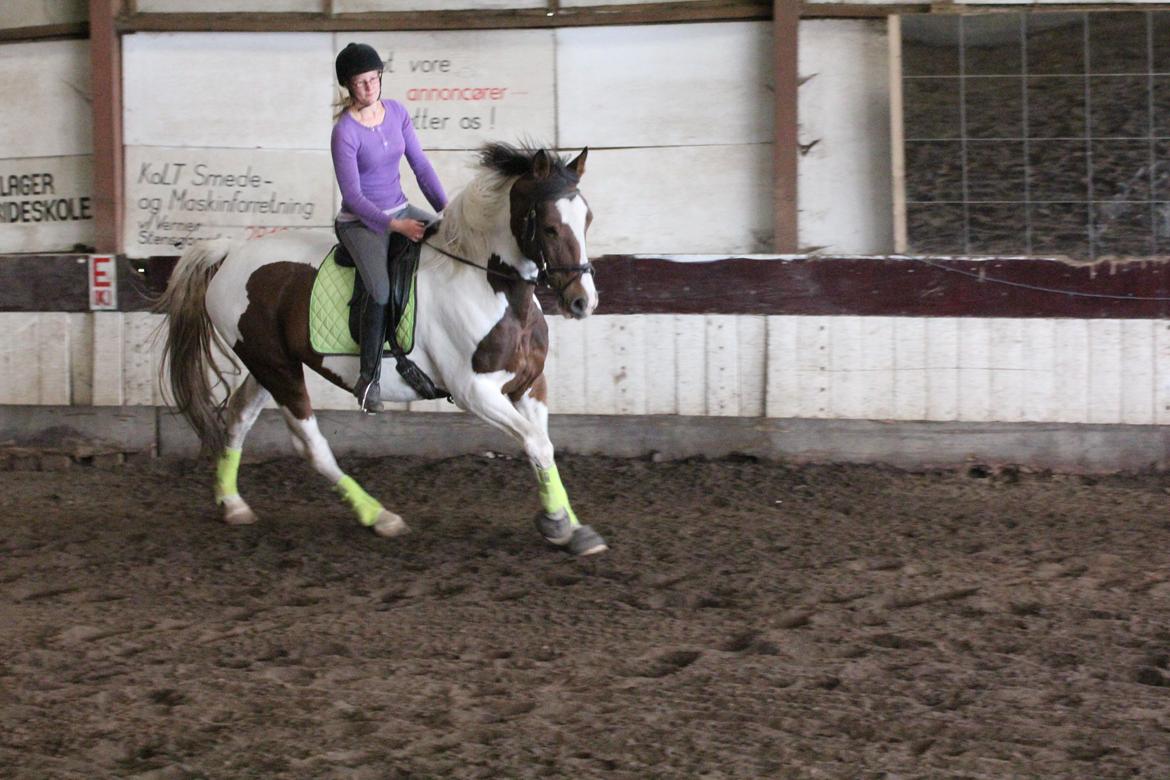 Anden særlig race Kaja fra Birkevang <3 *Yndlings* billede 5
