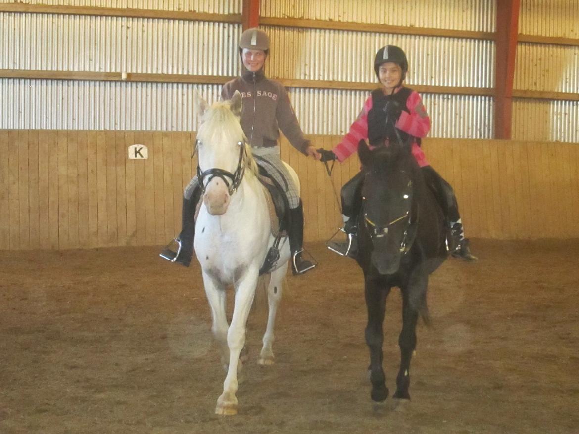 Knabstrupper Kastanielund's Alf - Jing og Jang<3 billede 20