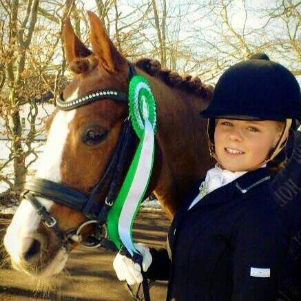 DSP Laila B-pony billede 11