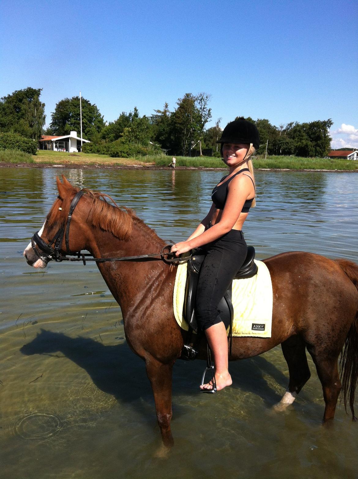 DSP Laila B-pony billede 19